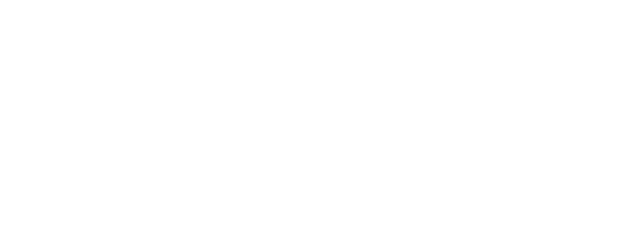 Mediain Logo